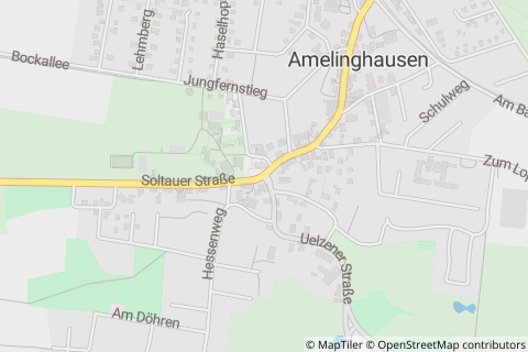 21385 Amelinghausen
