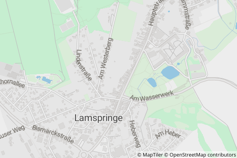 31195 Lamspringe