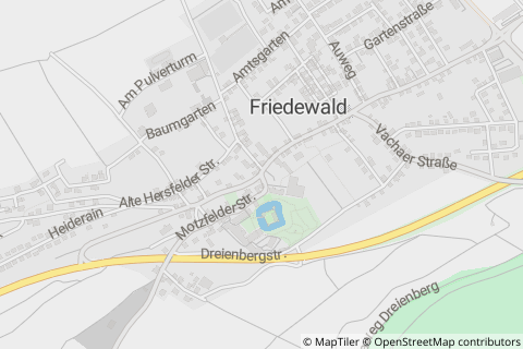 36289 Friedewald