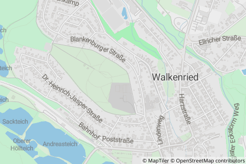 37445 Walkenried