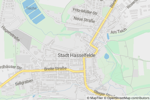 38899 Hasselfelde
