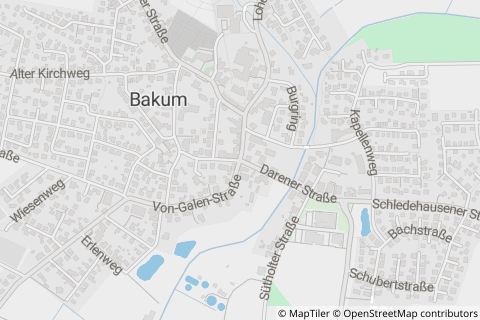 49456 Bakum