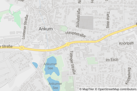 49577 Ankum