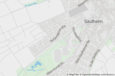 55291 Saulheim