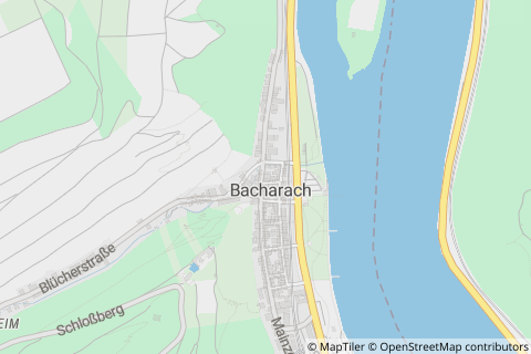 55422 Bacharach