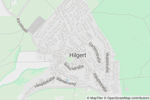56206 Hilgert