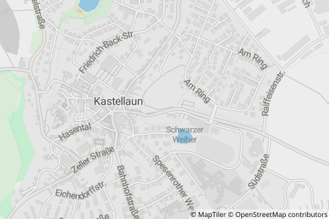 56288 Alterkülz