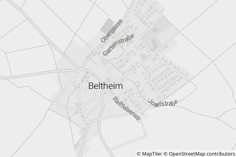 56290 Beltheim