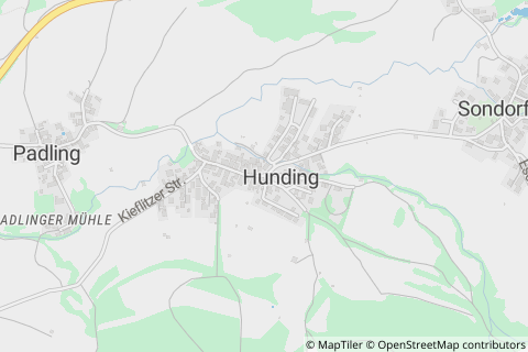 94551 Hunding
