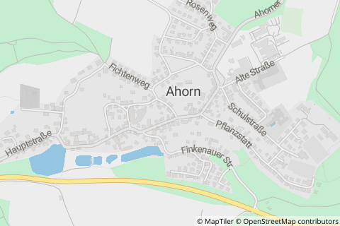 96482 Ahorn