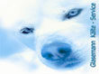 Logo der Firma Firmenverzeichnis