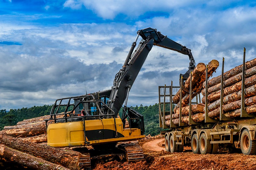 Bagger verlädt Holz aber die Rohstoffknappheit verhindert wirtschaftlichen Aufschwung