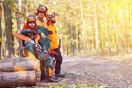 Forstarbeiter bereiten Holz für nachhaltiges Bauen vor
