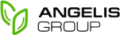 Angelisgroup GmbH