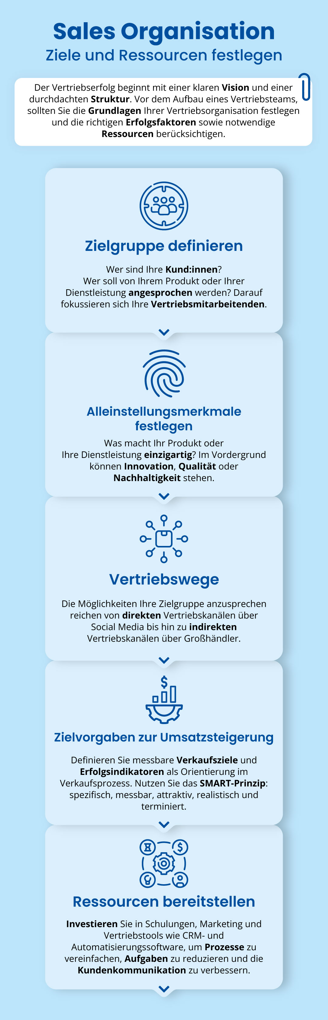 Vertriebsteam aufbauen: Mobile Infografik zum Thema Sales Organisation
