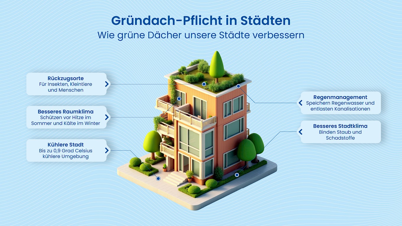 Ansicht über die Vorteile der Dachbegrünung